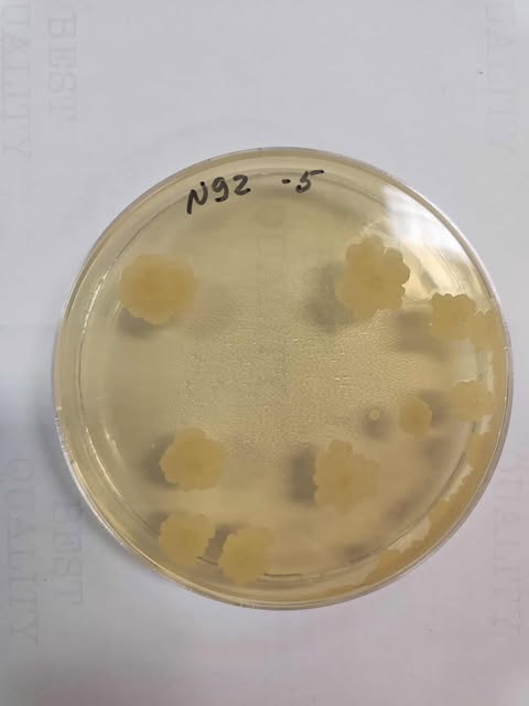 prace w laboratorium