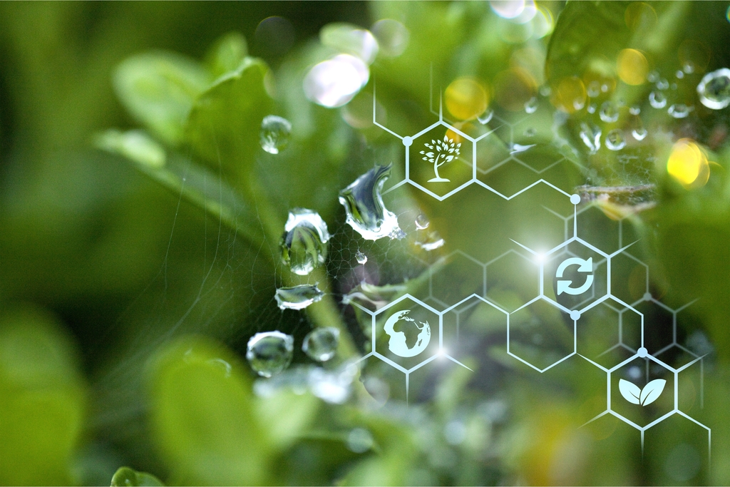 Strategia rozwoju Wydziału