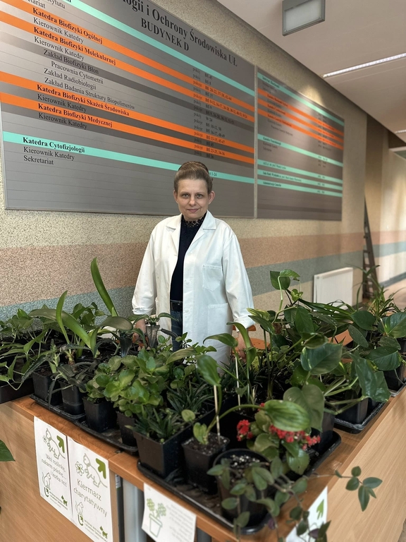 Rośliny na kiermasz, zdjęcie