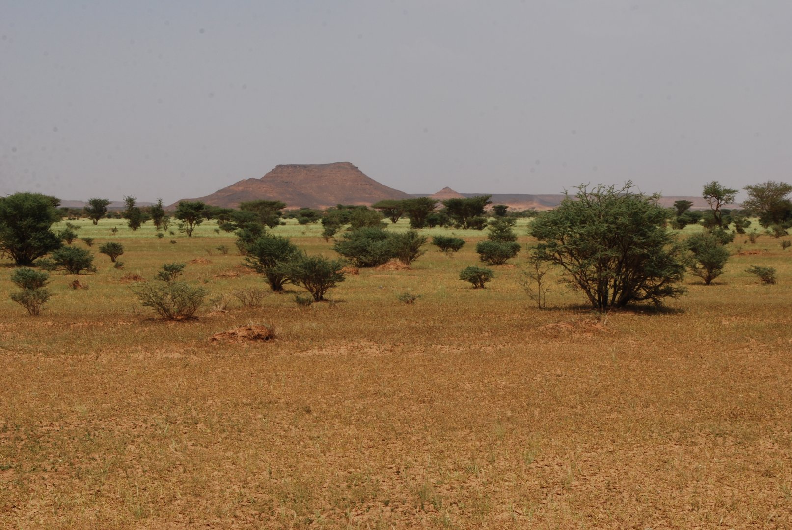 Sudan