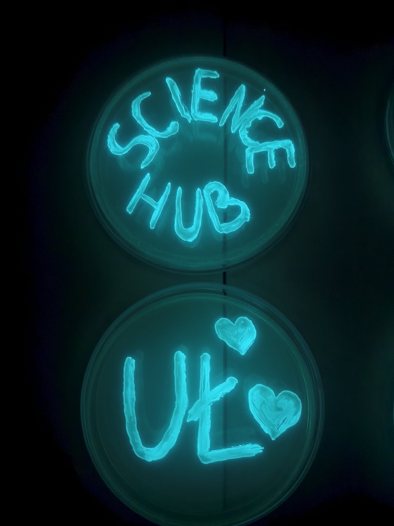 UŁ