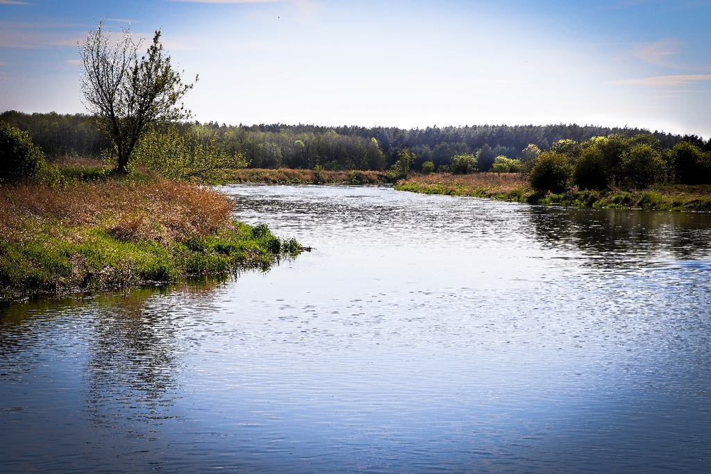 Przyroda w okolicy Spały