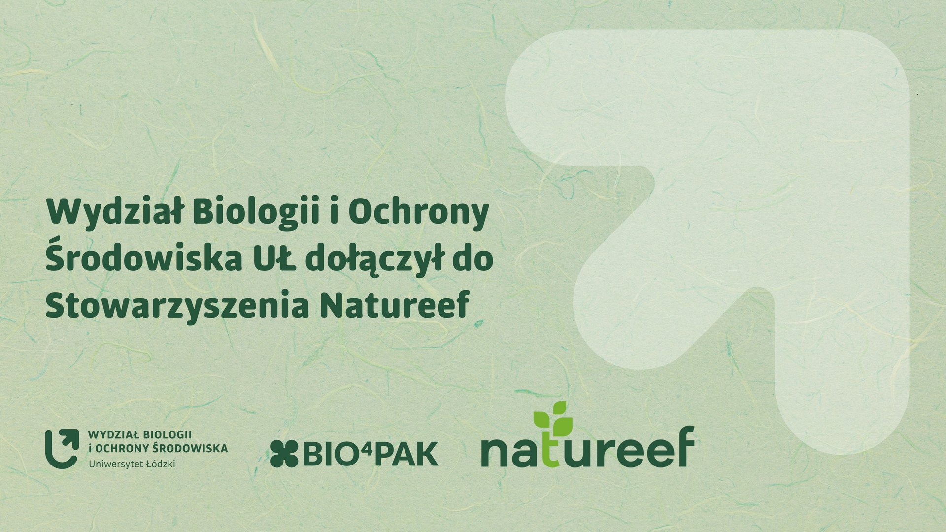 Grafika do tekstu