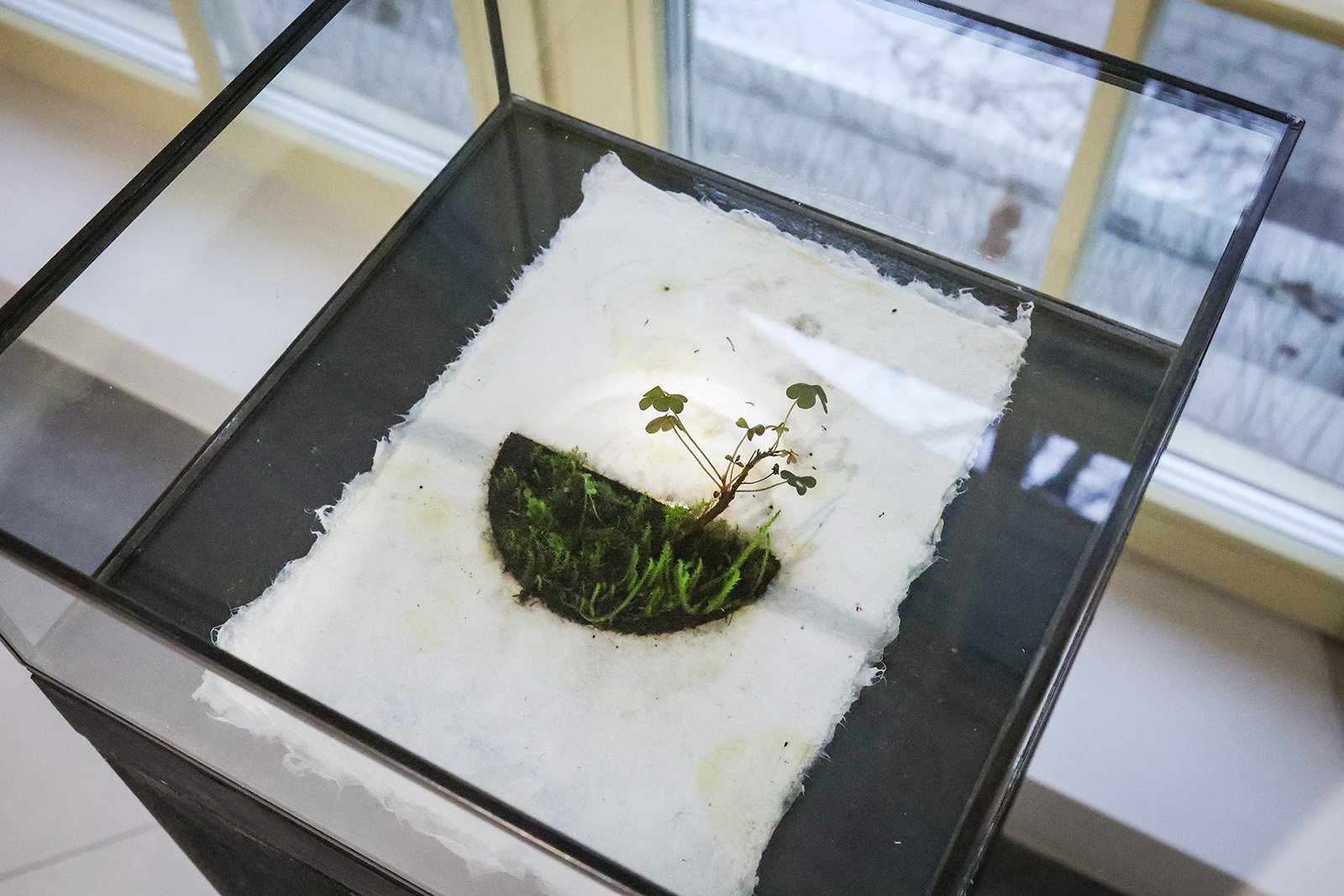 Wystawa w Muzeum Przyrodniczym