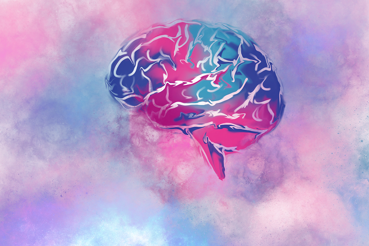 The human brain as a watercolour painting in pink and navy blue