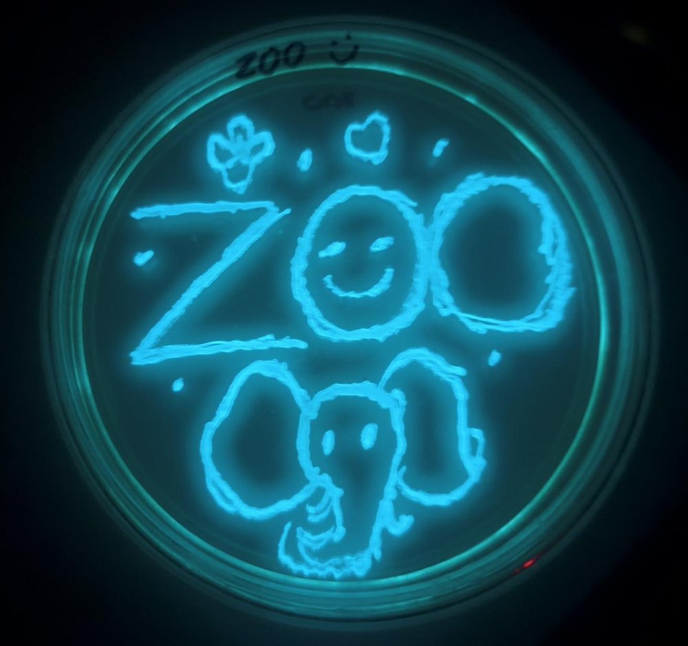 a laboratory sample with the word zoo written on it