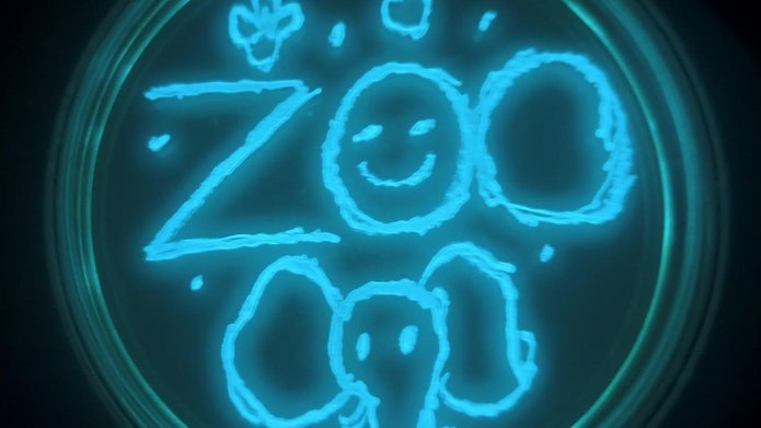 probka laboratryjna z napisem zoo