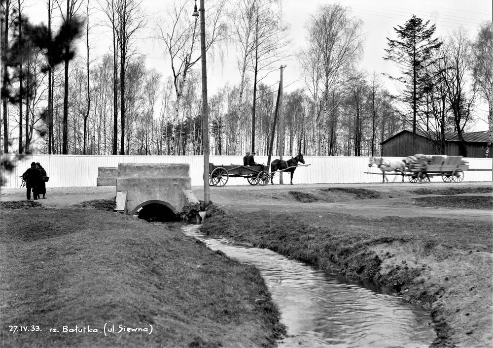 An archival photo of the Bałutka river against the background of a birch forest