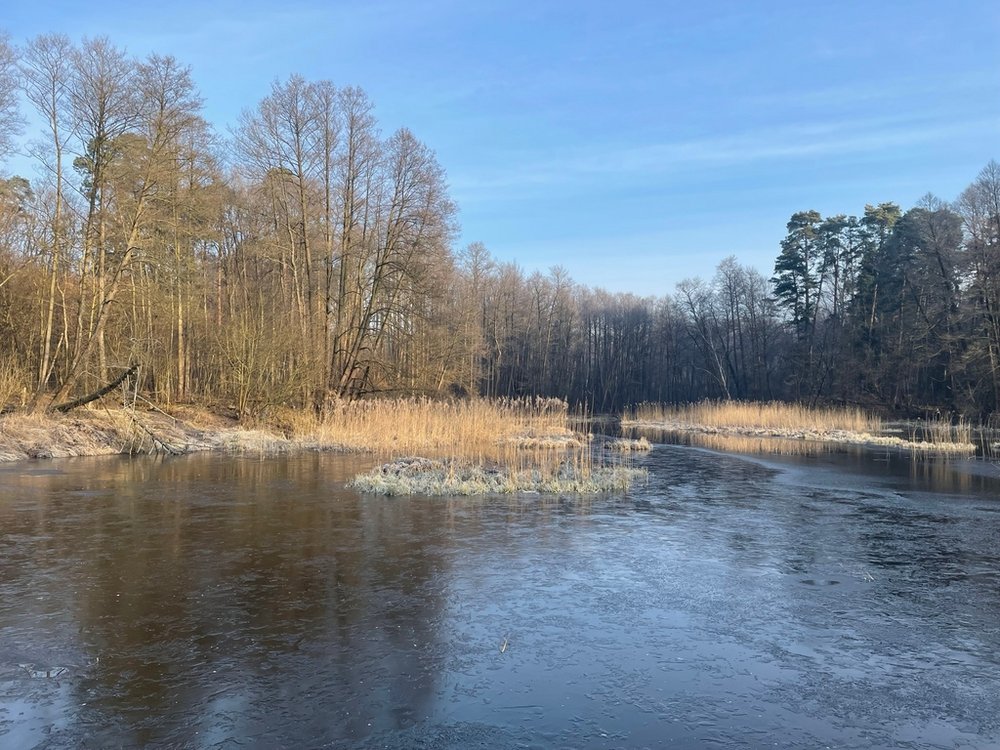 Rzeka Gać w okolicach Spały