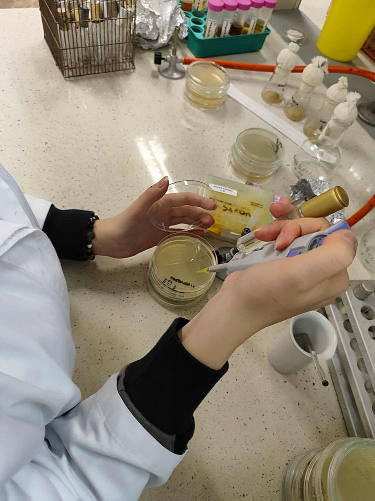 prace w laboratorium