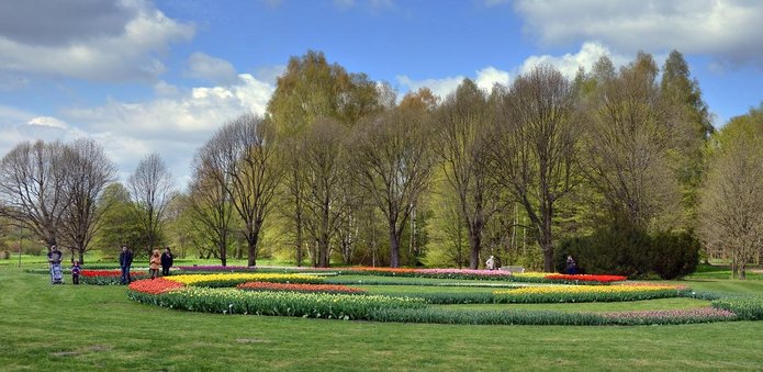 Zdjęcie Ogrodu Botanicznego