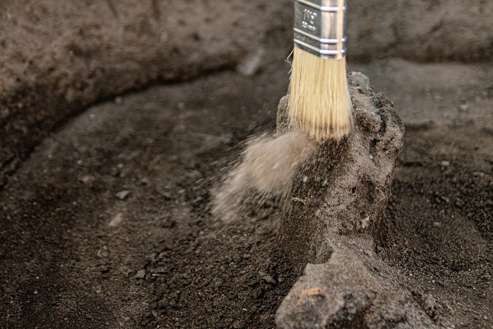 pędzel przy ziemi