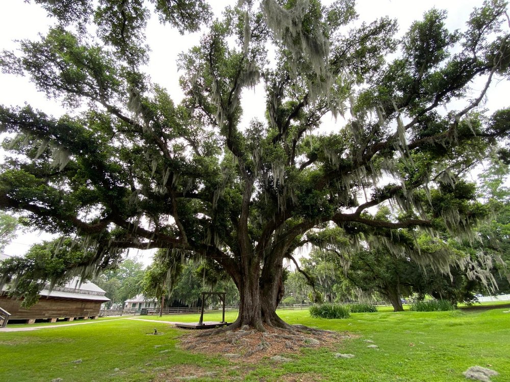 Delegation from the University of Lodz at NAFSA in New Orleans