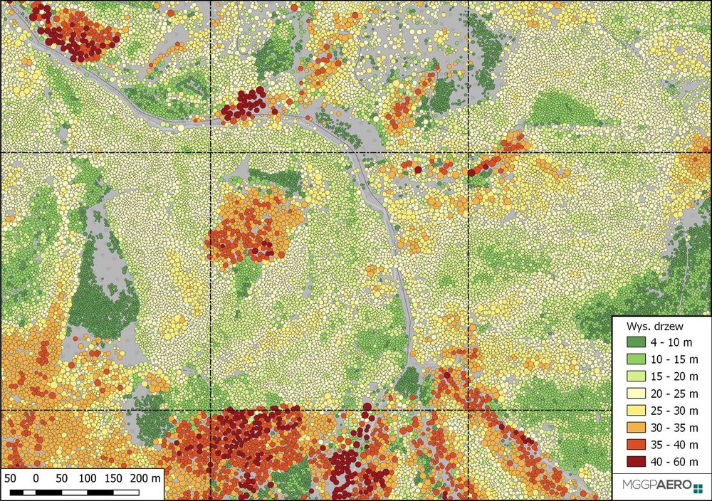 A fragment of the Tree Crown Map for Poland  