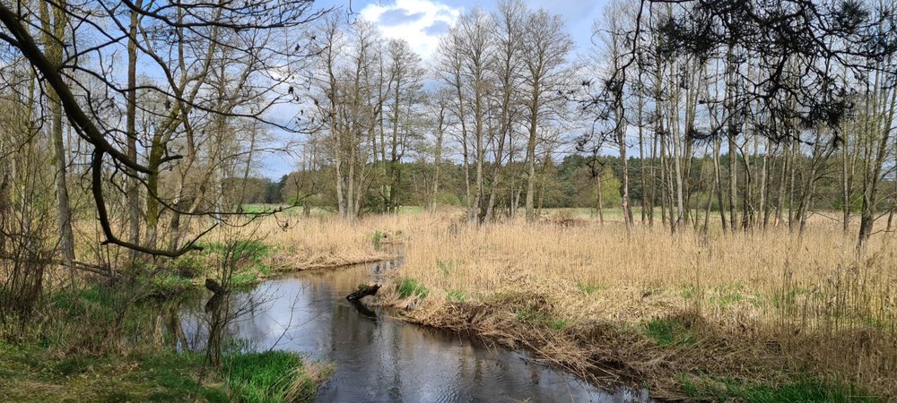 Dolina rzeki Grabi w obszarze Natura 2000