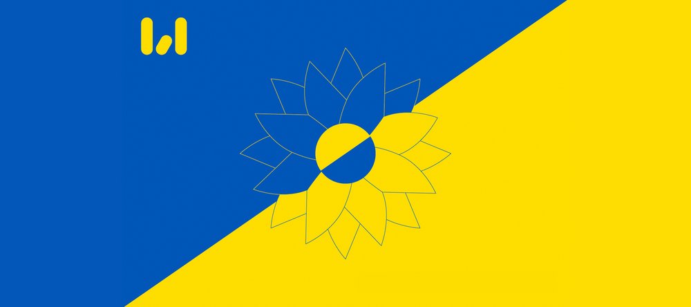 Sunflower in the colors of the Ukrainian flag