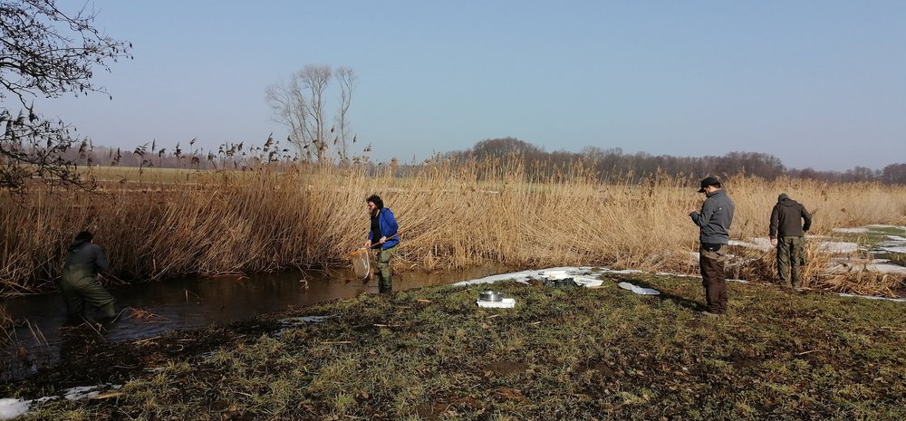 Biologists conducting Grabia River studies