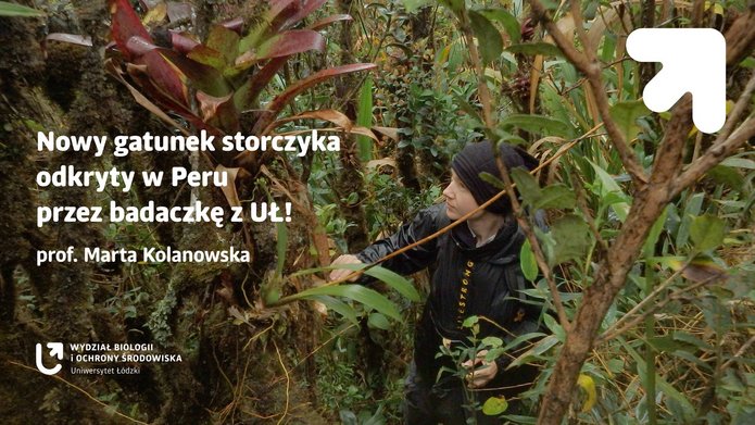 A graphic illustrating the text