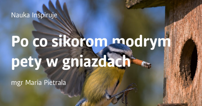 Baner z sikorką trzymającą w dziobie niedopałek papierosa