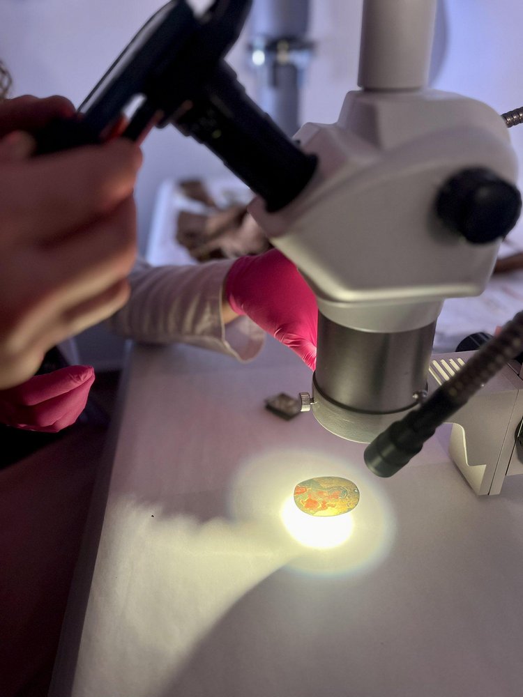 archaeologist from the University of Lodz while examining samples under a microscope