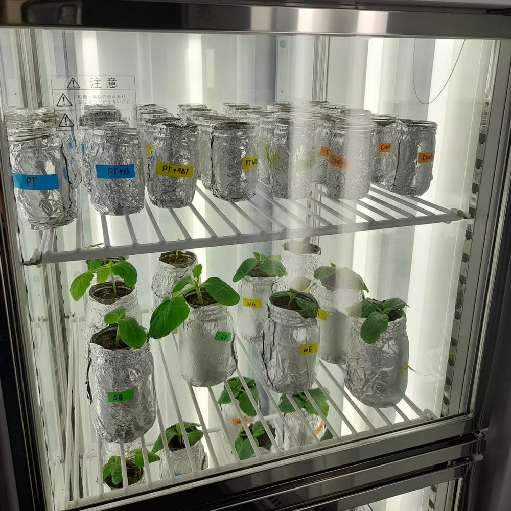 Samples of plants in a fridge