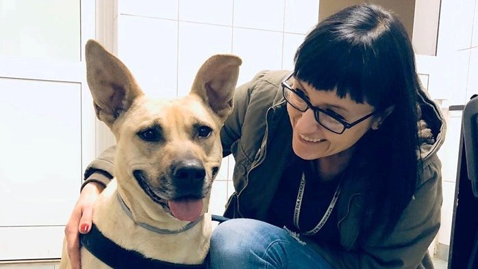 Director of the Animal Shelter in Lodz with a dog