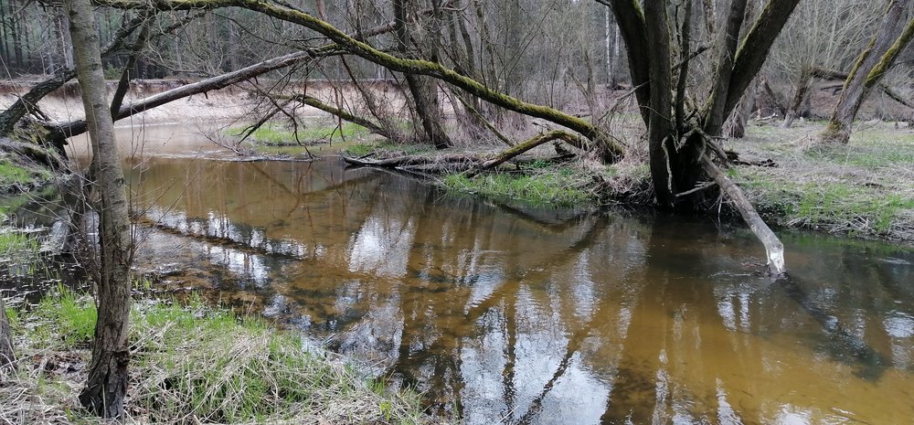 A close-up of the Grabia river bend