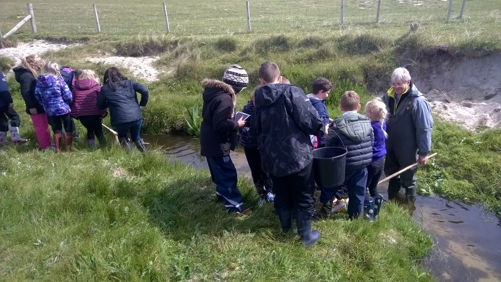 Mirosław Przybylski zdjęcie