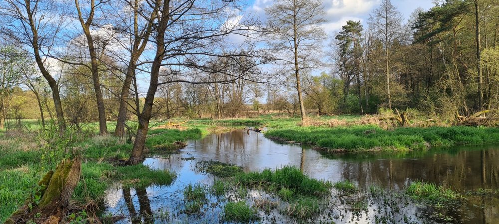 Dolina rzeki Grabi w obszarze Natura 2000