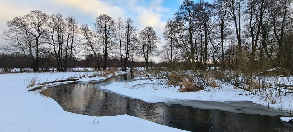 Dolina rzeki Grabi w obszarze Natura 2000