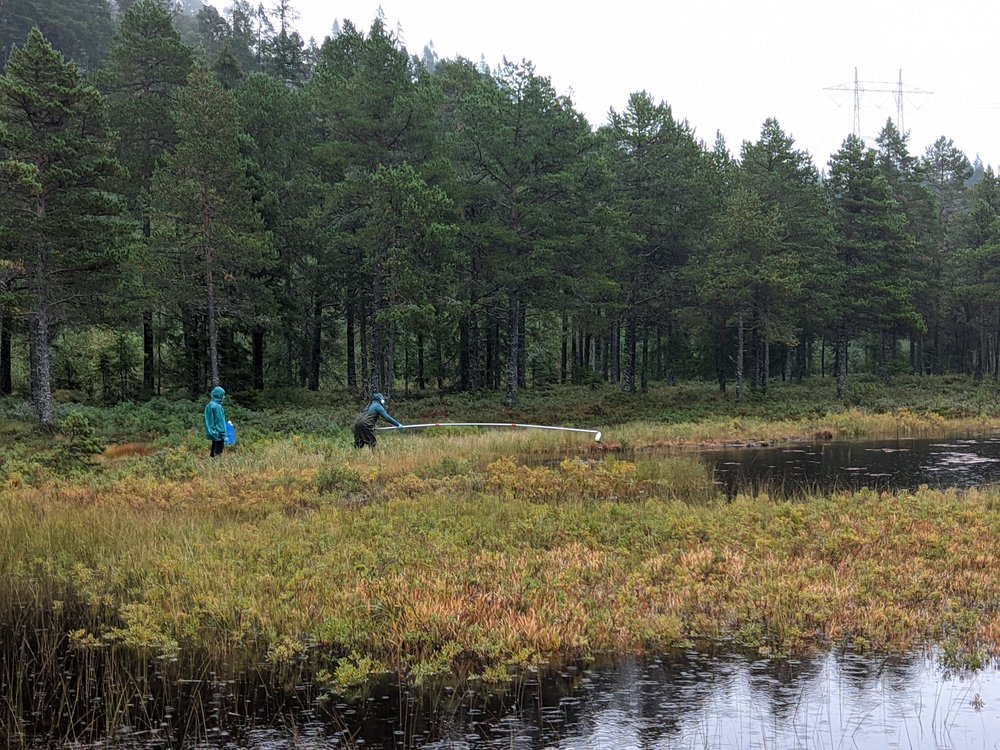 Badania biologów w leśnym stawie
