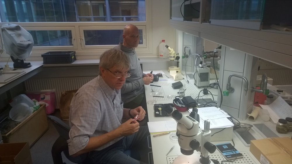 Mirosław Przybylski zdjęcie