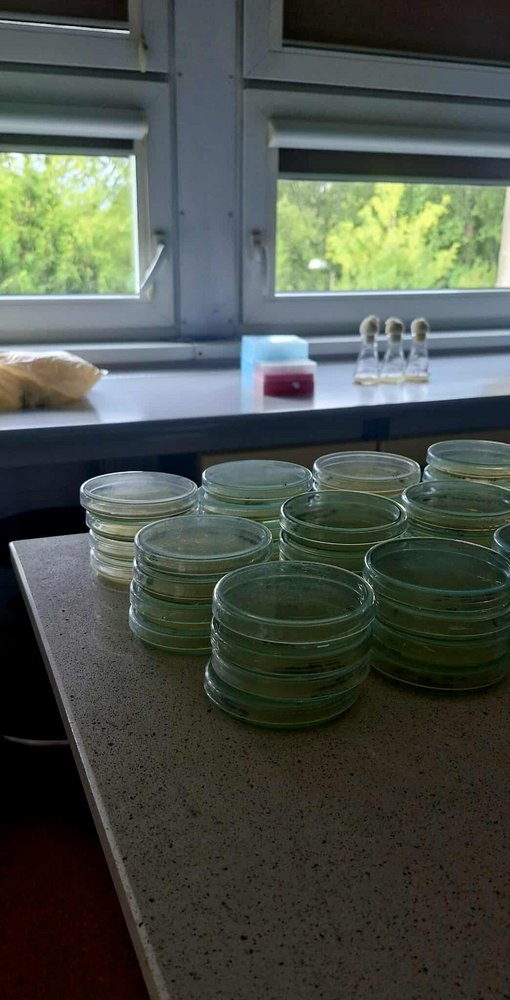 prace w laboratorium