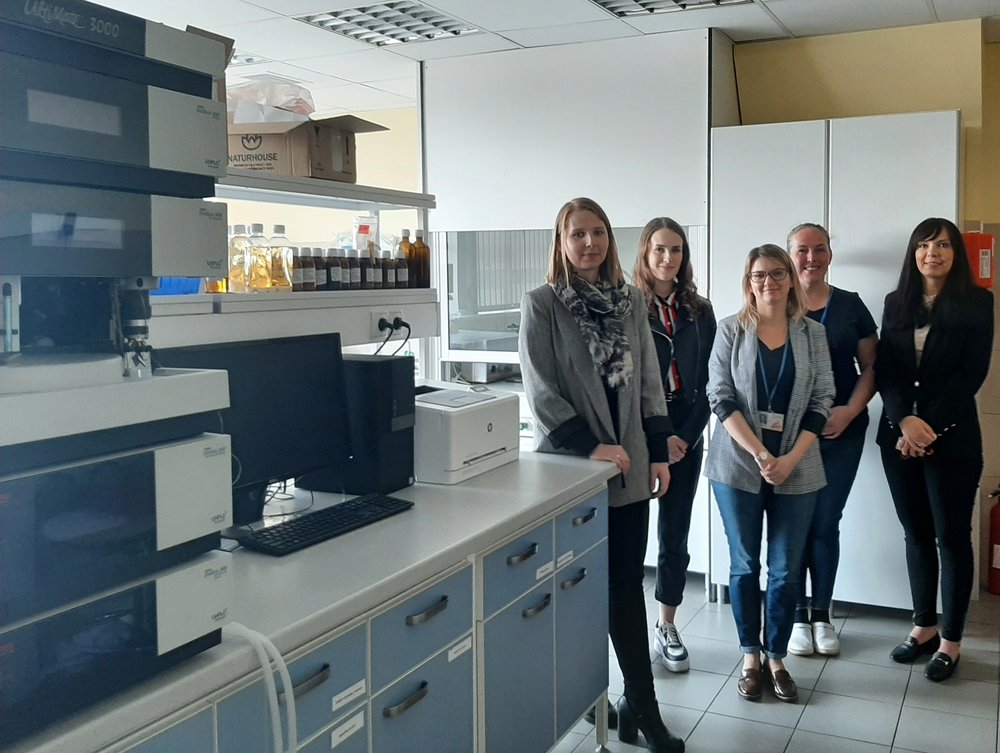 grupa młodych kobiet, członkowie zespołu projektowego