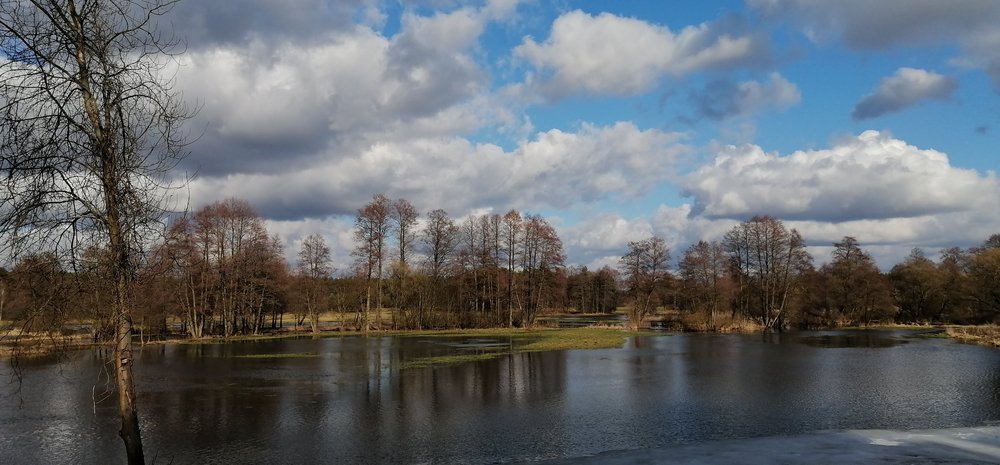 Grabia River backwaters