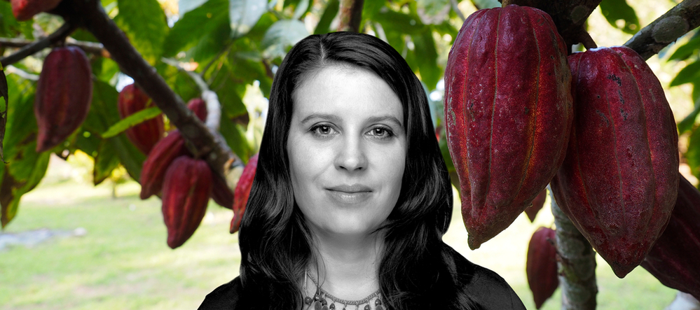Dr Izabela Stachowicz obok owoców kakaowca