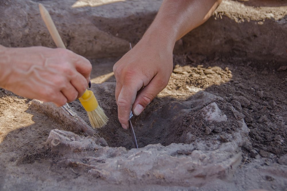 Dłonie z narzędziami do eksplorowania