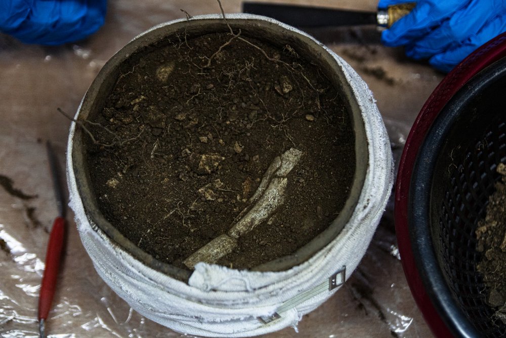 wnętrze górnej warstwy popielnicy z fragmentem kostnym