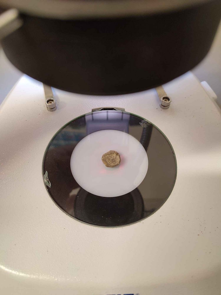 The finding under a microscope