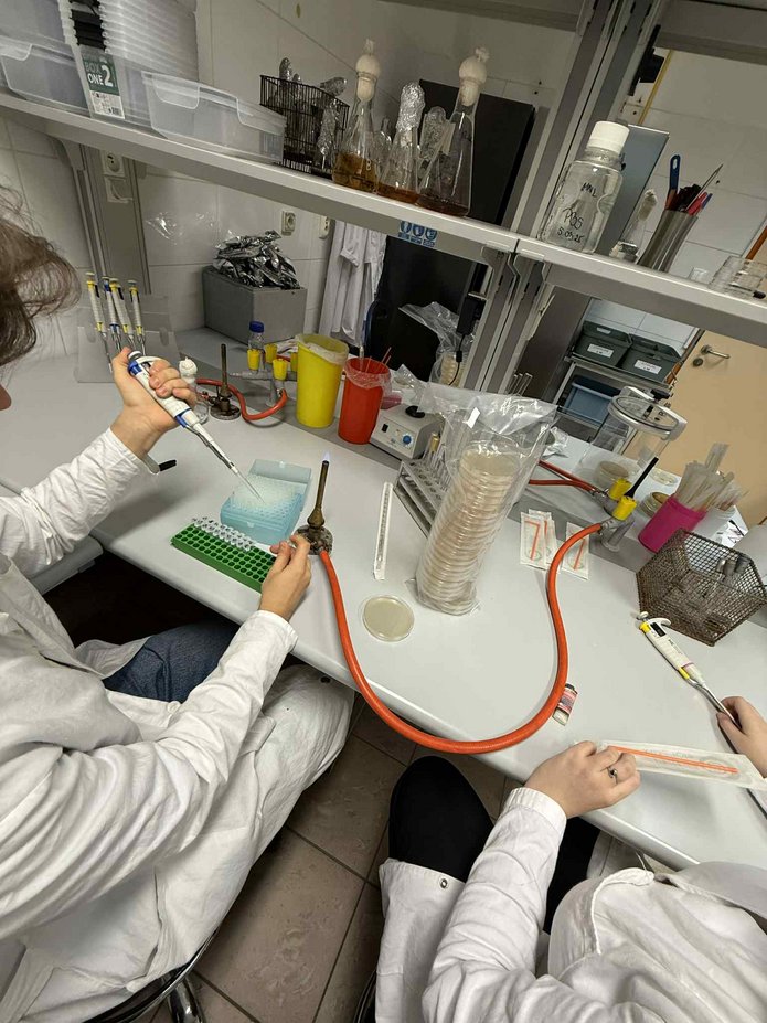 praca w laboratorium