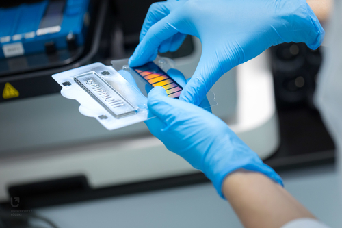 pracownik laboratorium podczas pracy pracownik laboratorium podczas pracy