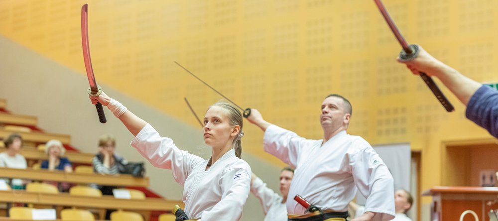 martial arts demonstrations 