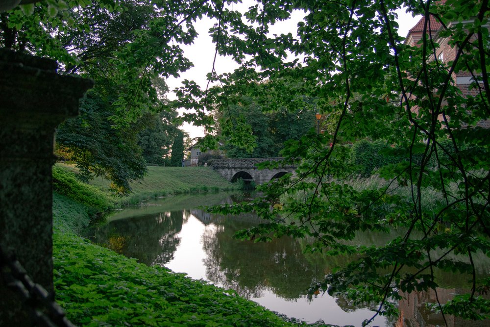 fosa otaczająca zamek przysłonięta drzewami i most w oddali