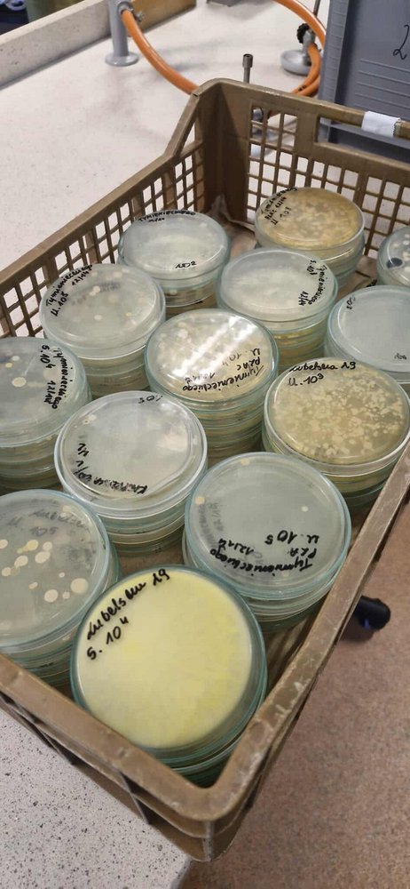 prace w laboratorium