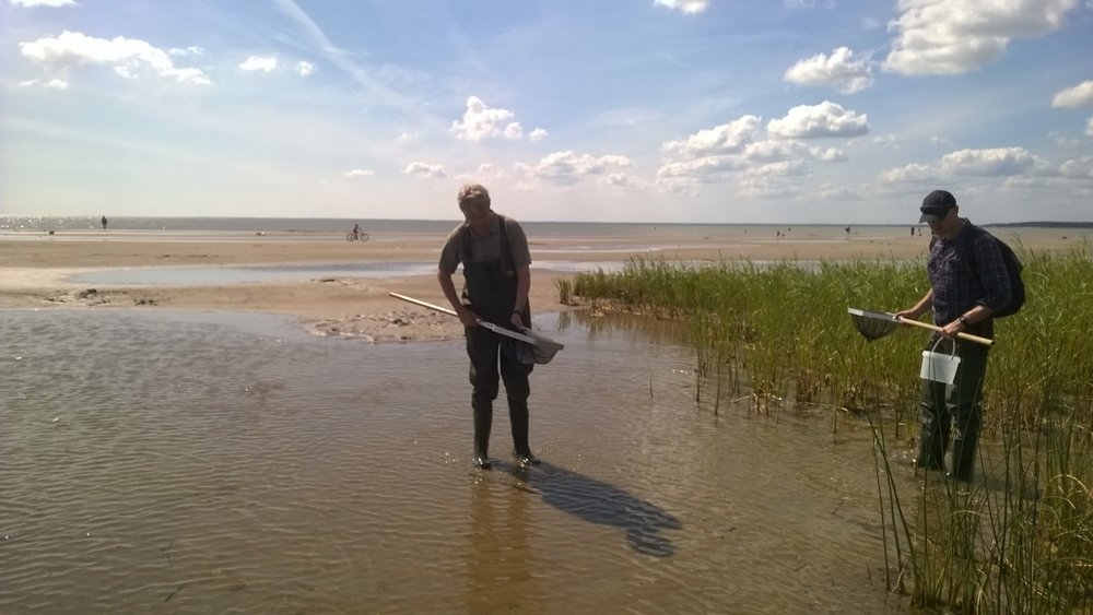 Mirosław Przybylski zdjęcie