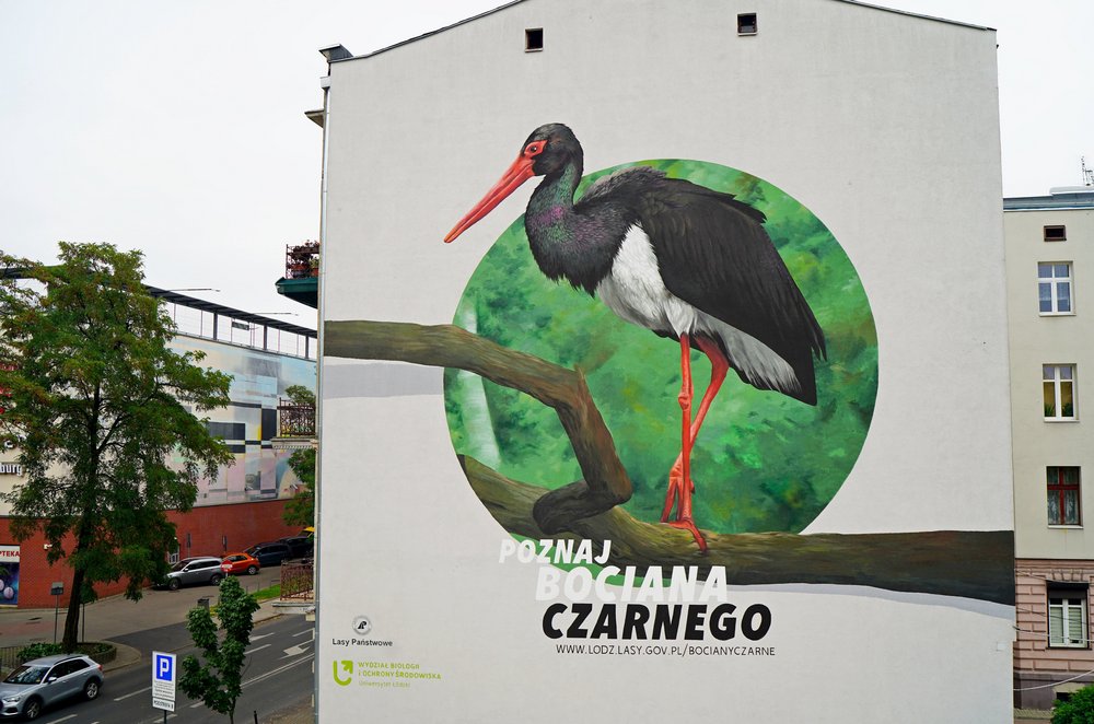 The mural of a black stork - a close-up