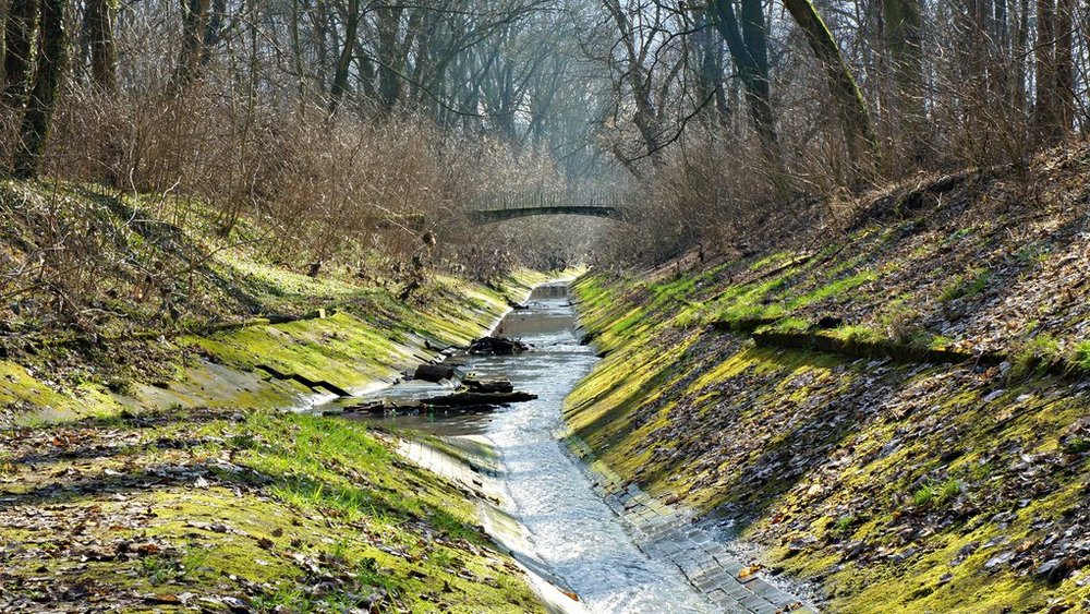 [Translate to English:] rzeka