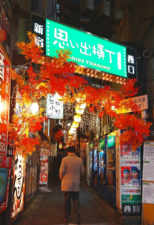 View of a Japanese city