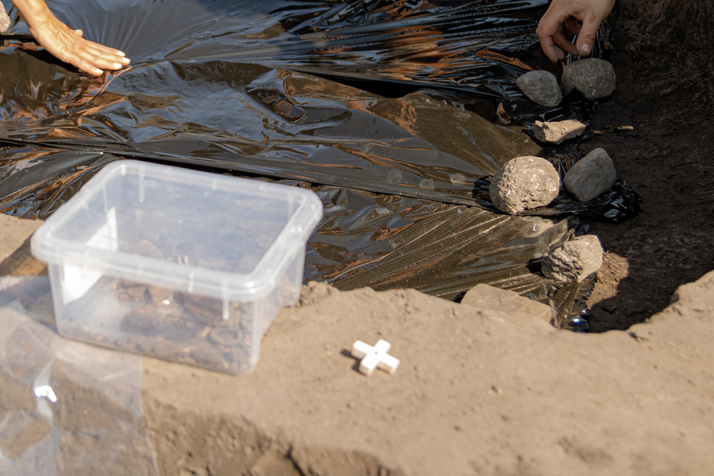 plastikowe pudełko z fragmentami kostnymi, w tle przykryta folią ziemia
